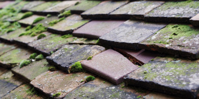 Cockayne Hatley roof repair costs